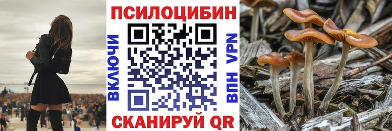 Купить  Александровск-Сахалинский  Псилоцибиновые грибы Magic Shrooms 